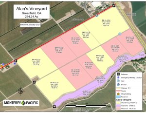 Alan's Vineyard