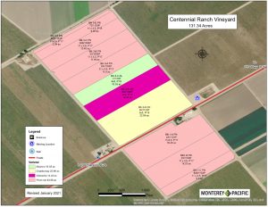 Centennial Ranch Vineyard