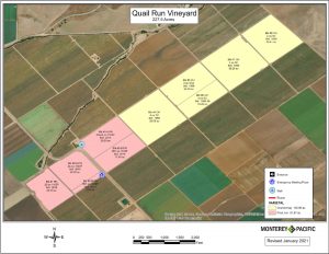 Quail Run Vineyard