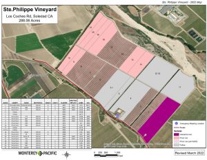 Ste Philippe Vineyard