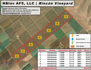 Rincon Vineyard Map